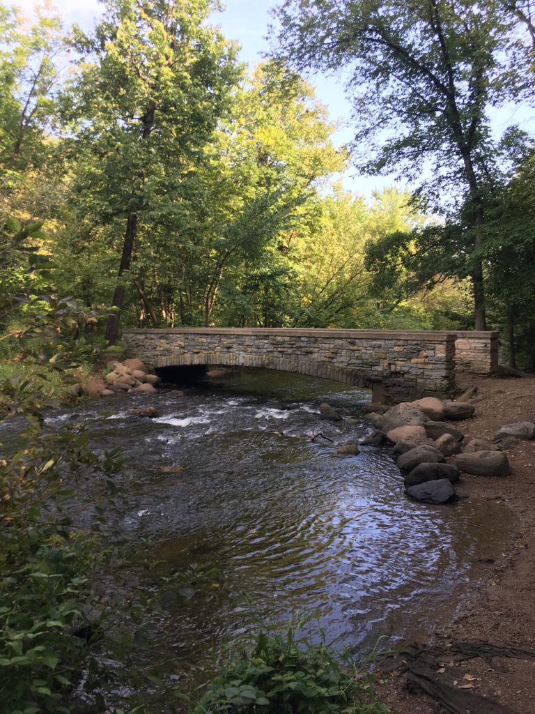 Stone bridge in the forest built over a river